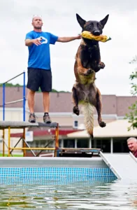High flyer